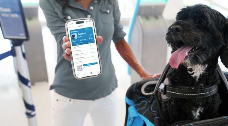 Pet travel platform wins international award